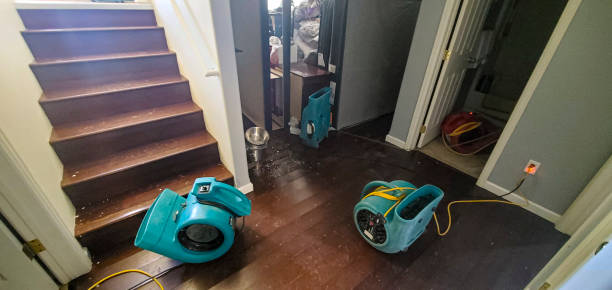 Best Professional water damage repair  in Dallastown, PA