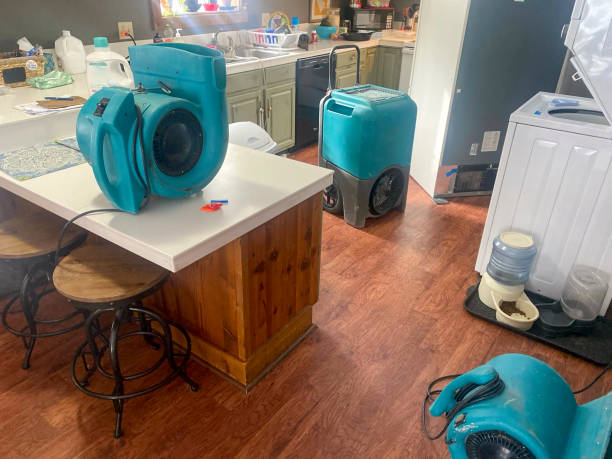 Best Carpet water damage restoration  in Dallastown, PA