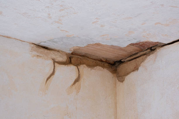 Best Mold removal after water damage  in Dallastown, PA