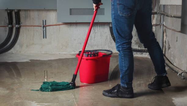 Best Flood damage cleanup  in Dallastown, PA