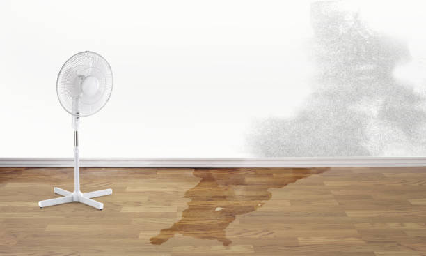Best Fire Damage Restoration  in Dallastown, PA