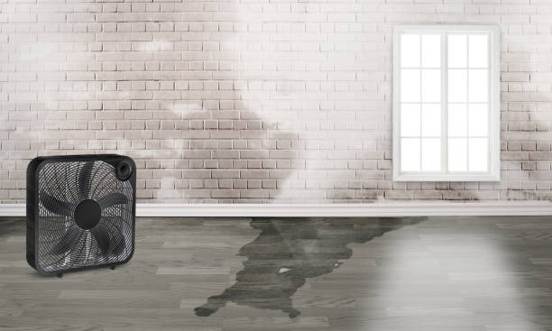 Best Water damage restoration process  in Dallastown, PA