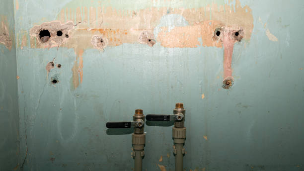 Best Flooded house restoration  in Dallastown, PA