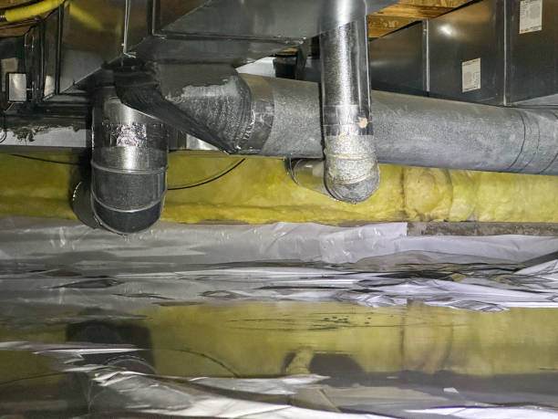 Best Water damage contractors near me  in Dallastown, PA