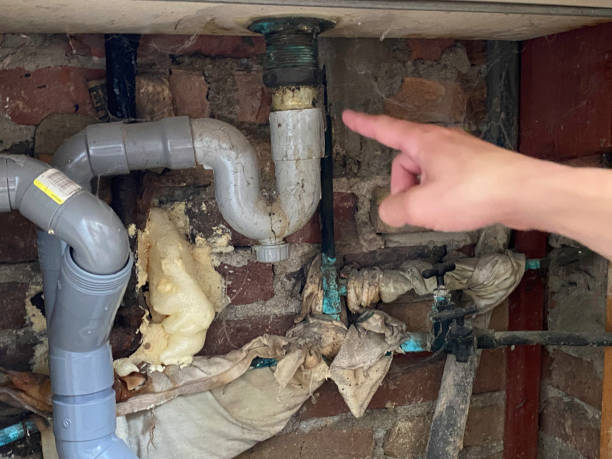 Best Local water damage restoration  in Dallastown, PA