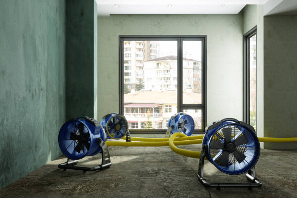  Dallastown, PA Water damage restoration Pros